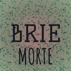 Various的专辑Brie Morte