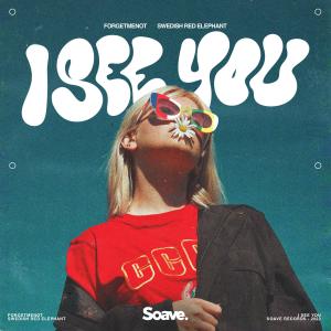 Listen to I See You song with lyrics from ForgetMeNot