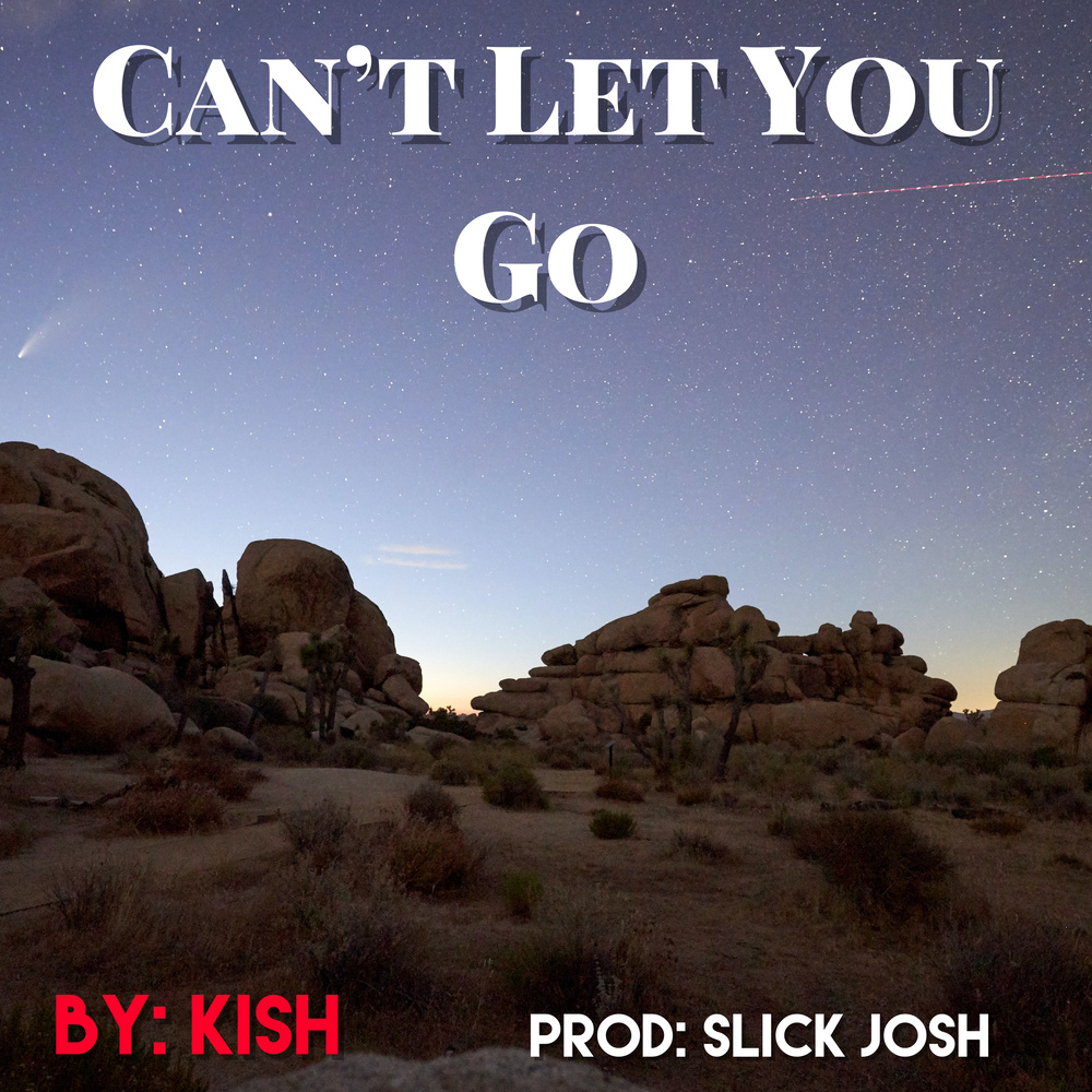 Can't Let You Go (Explicit)