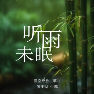 付娜的專輯聽雨未眠