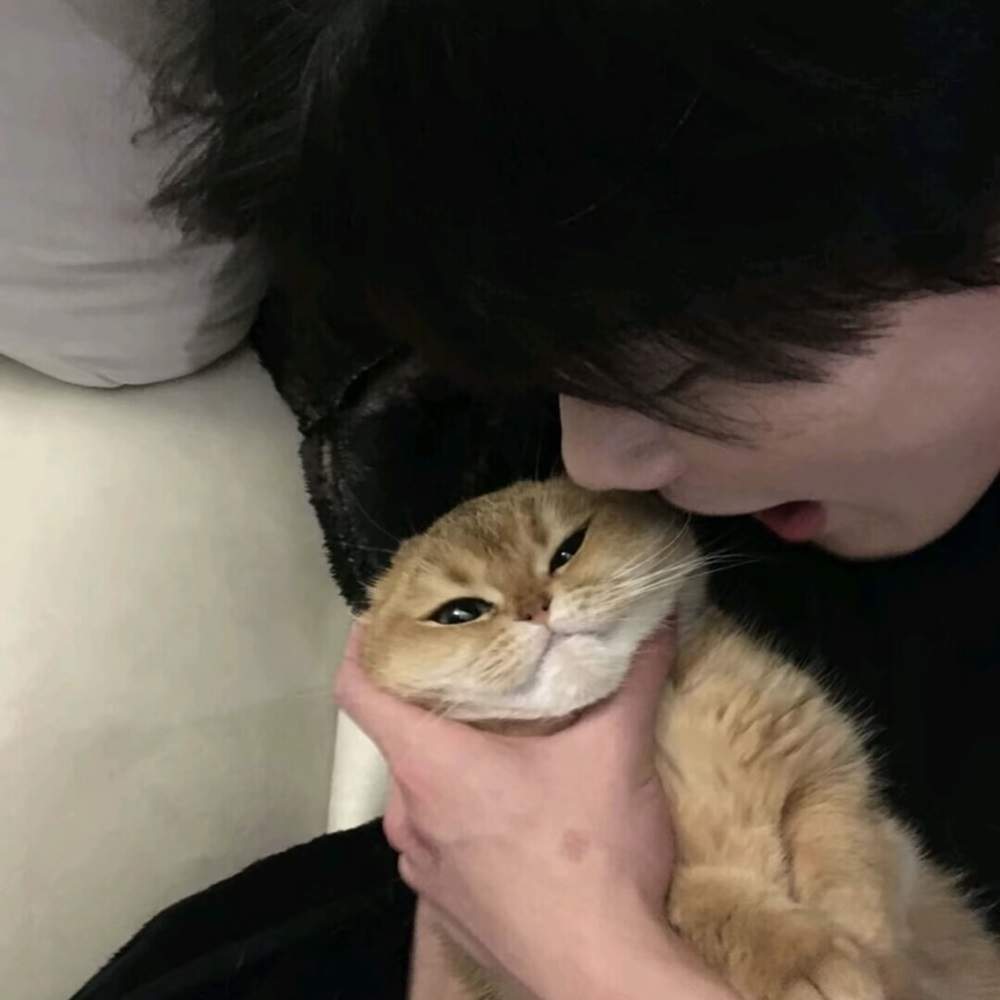 黑尾羊