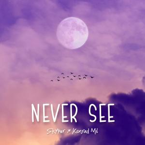 ดาวน์โหลดและฟังเพลง Never See พร้อมเนื้อเพลงจาก Konrad Mil