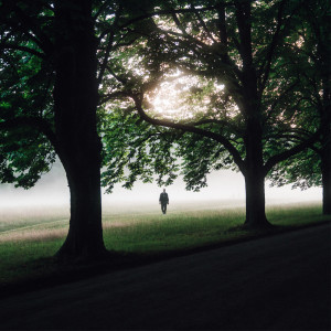 Album Interim (Original) from August Wilhelmsson