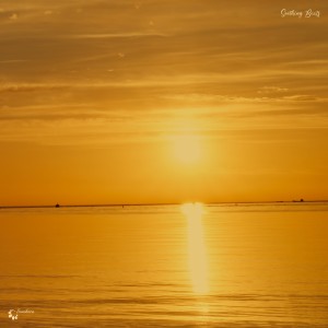 Album Soothing Beats from Various