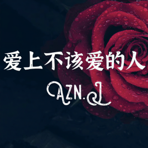 Azn.J的專輯愛上不該愛的人