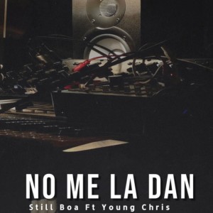 No Me La Dan (feat. Young Chris) (Explicit)