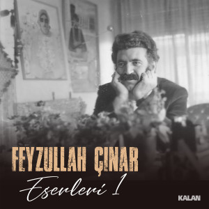 收聽Dertli Divani的Pirim Pir Sultan (Feyzullah Çınar Eserleri 1)歌詞歌曲