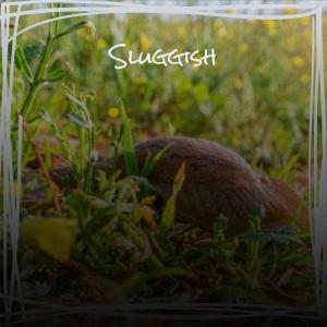 Dengarkan Catnap lagu dari Darn Vaal dengan lirik