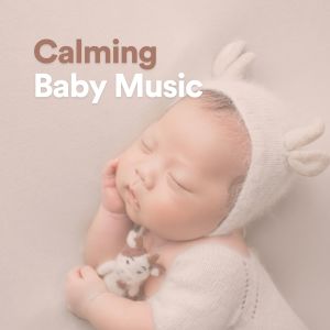 Album Calming Baby Music oleh Baby Lullaby