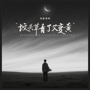 Album 坟头草青了又变黄 oleh 刘家奇