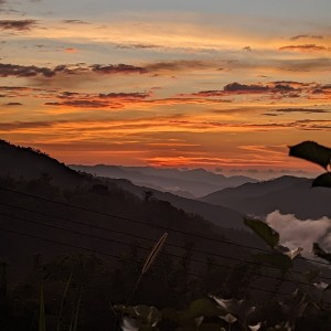 Listen to Melawan Restu song with lyrics from Simpodon 5087