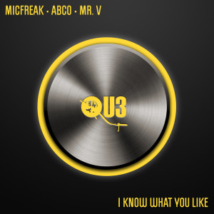 Album I Know What You Like (Original Vocal Radio Edit) oleh Mr. V