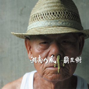 收聽湘南乃風的Shounanno Kaze (Irie Summer Remix|BK Mix)歌詞歌曲