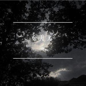 Album 白月光 oleh 田新宇