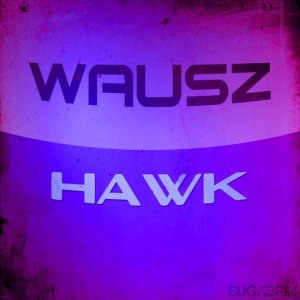 ดาวน์โหลดและฟังเพลง Hawk (Radio Edit) พร้อมเนื้อเพลงจาก Wausz