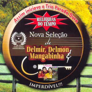 Listen to Perereca song with lyrics from Delmir
