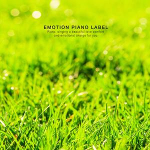 Listen to Blue Night Song song with lyrics from Korea Various Artists