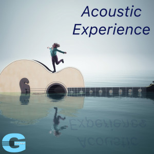 Album Acoustic Experience from Kevin Brandon