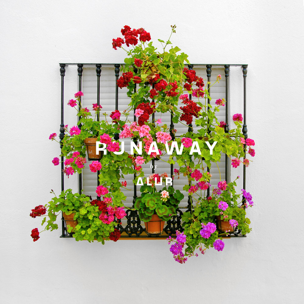 Runaway (Explicit)