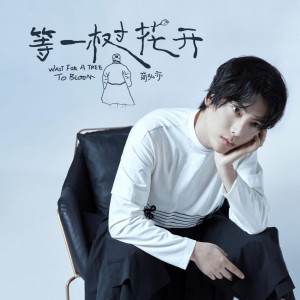 Listen to 等一樹花開 (伴奏版) (伴奏) song with lyrics from 简弘亦