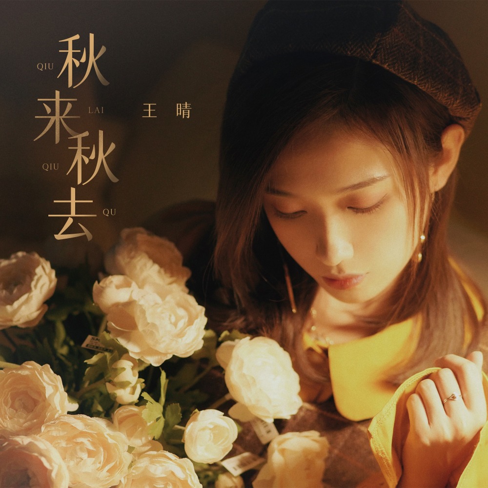 秋来秋去（又名：秋去秋来） (伴奏)