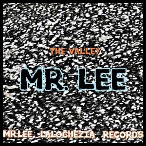 Mr. Lee的专辑The Valley