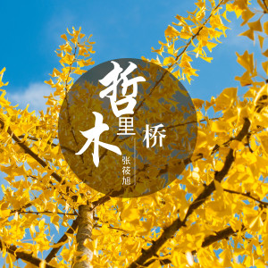 收聽張筱旭的哲裏木橋歌詞歌曲