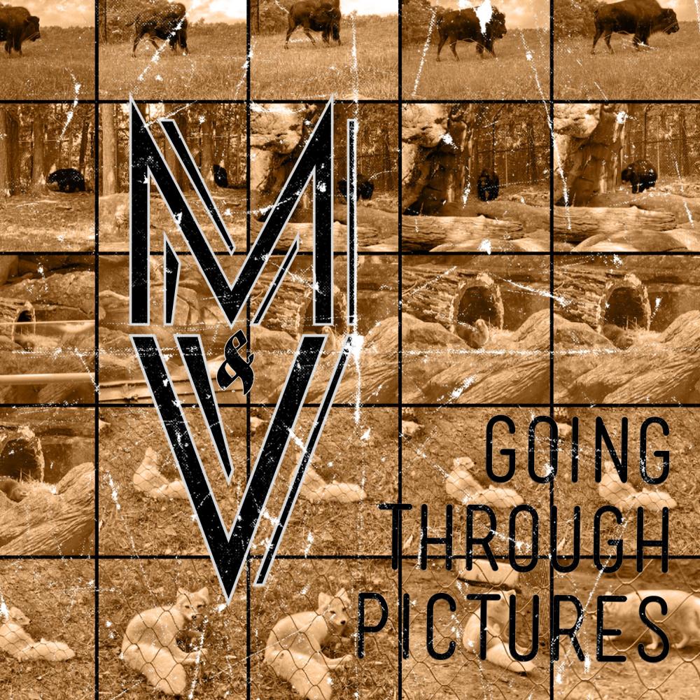 Going Through Pictures
