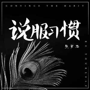 收听张碧格的说服习惯 (伴奏)歌词歌曲