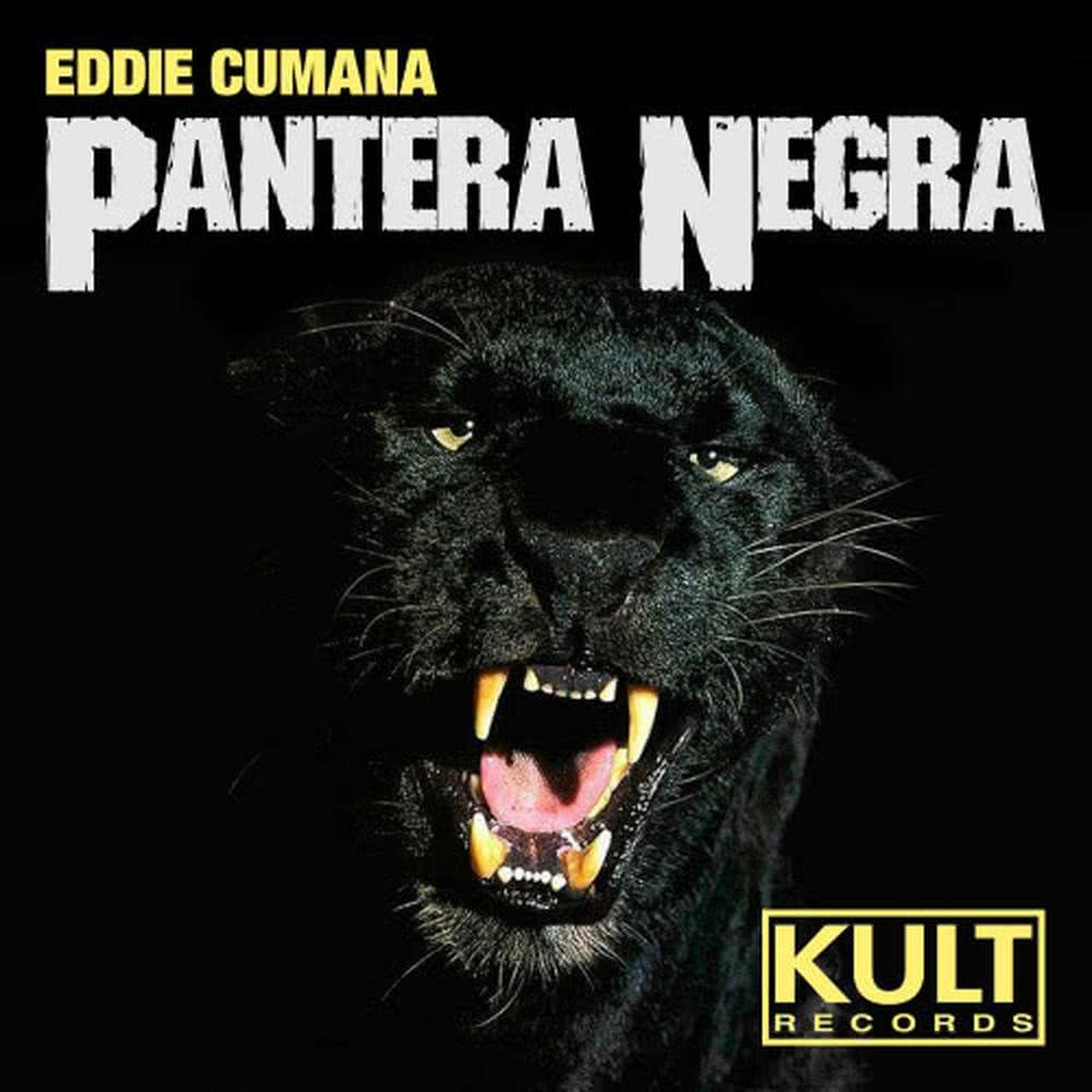 Pantera Negra (Original Mix)