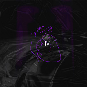 Album LUV from WHXMVNCE