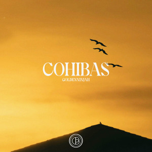 Goldenninjah的專輯Cohibas