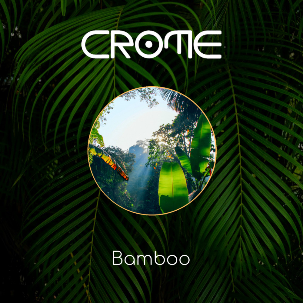 Bamboo