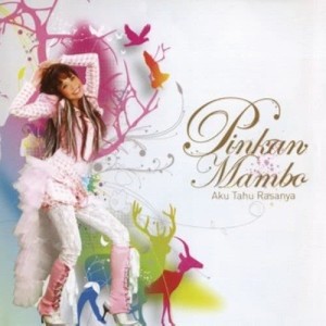 ดาวน์โหลดและฟังเพลง Biar Kau Tahu Rasa พร้อมเนื้อเพลงจาก Pinkan Mambo