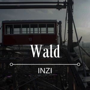 Album Wald from Inzi