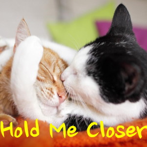 收聽Cissy Houston的Love Is Holding歌詞歌曲