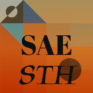 Listen to Sae Sth song with lyrics from Nandia