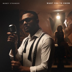 Listen to Want You To Know song with lyrics from Mumzy Stranger
