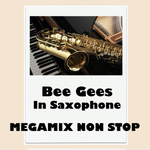 Listen to How Deep Is Your Love/I Started a Joke/Love You inside Out/Massachusetts/Night Fever/Stayin' Alive/To Love Somebody/Too Much Heaven/Tragedy/Word/You Should Be Dancing/You Win Again song with lyrics from Mr.Saxobeat