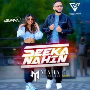 Arianna Thackurdeen的专辑Seeka Nahin (feat. Veekash Sahadeo)