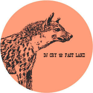 收聽DJ Cry的Fast Lane歌詞歌曲