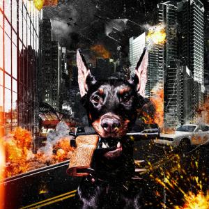 Album Dog in the Stu oleh Blanc