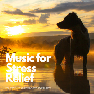 Music for Stress Relief: Peaceful Pondside Doggy Recitative dari Chill My Pooch