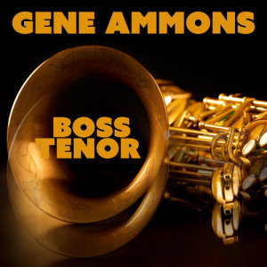 ดาวน์โหลดและฟังเพลง Canadian Sunset พร้อมเนื้อเพลงจาก Gene Ammons