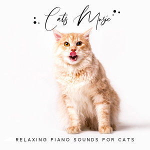 Dengarkan Night Music for You Friend lagu dari Instrumental Piano Universe dengan lirik