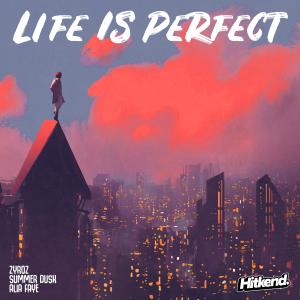 Listen to Life is Perfect song with lyrics from Zyroz