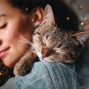 ดาวน์โหลดและฟังเพลง Armonía De La Siesta พร้อมเนื้อเพลงจาก Musicoterapia para gatitos