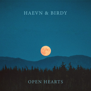 Dengarkan lagu Open Hearts nyanyian HAEVN dengan lirik