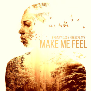 Freaky DJs的专辑Make Me Feel
