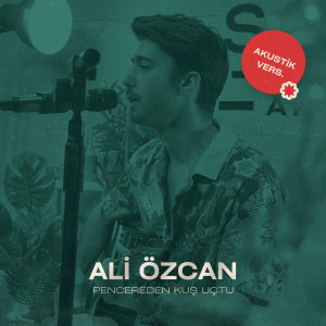 Listen to Pencereden Kuş Uçtu (Akustik) song with lyrics from Ali Özcan